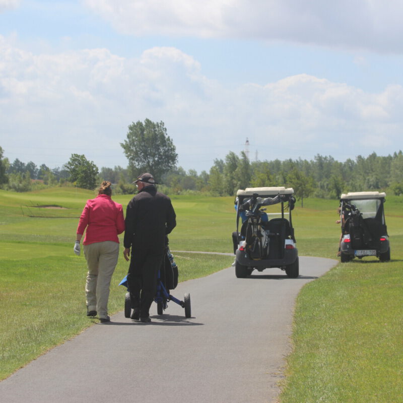 GV AM CH 2020 buggys