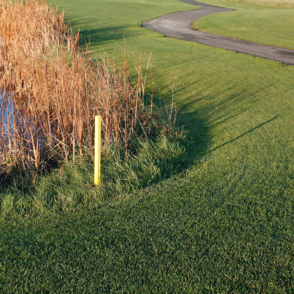 Ontwerp zonder titel 19