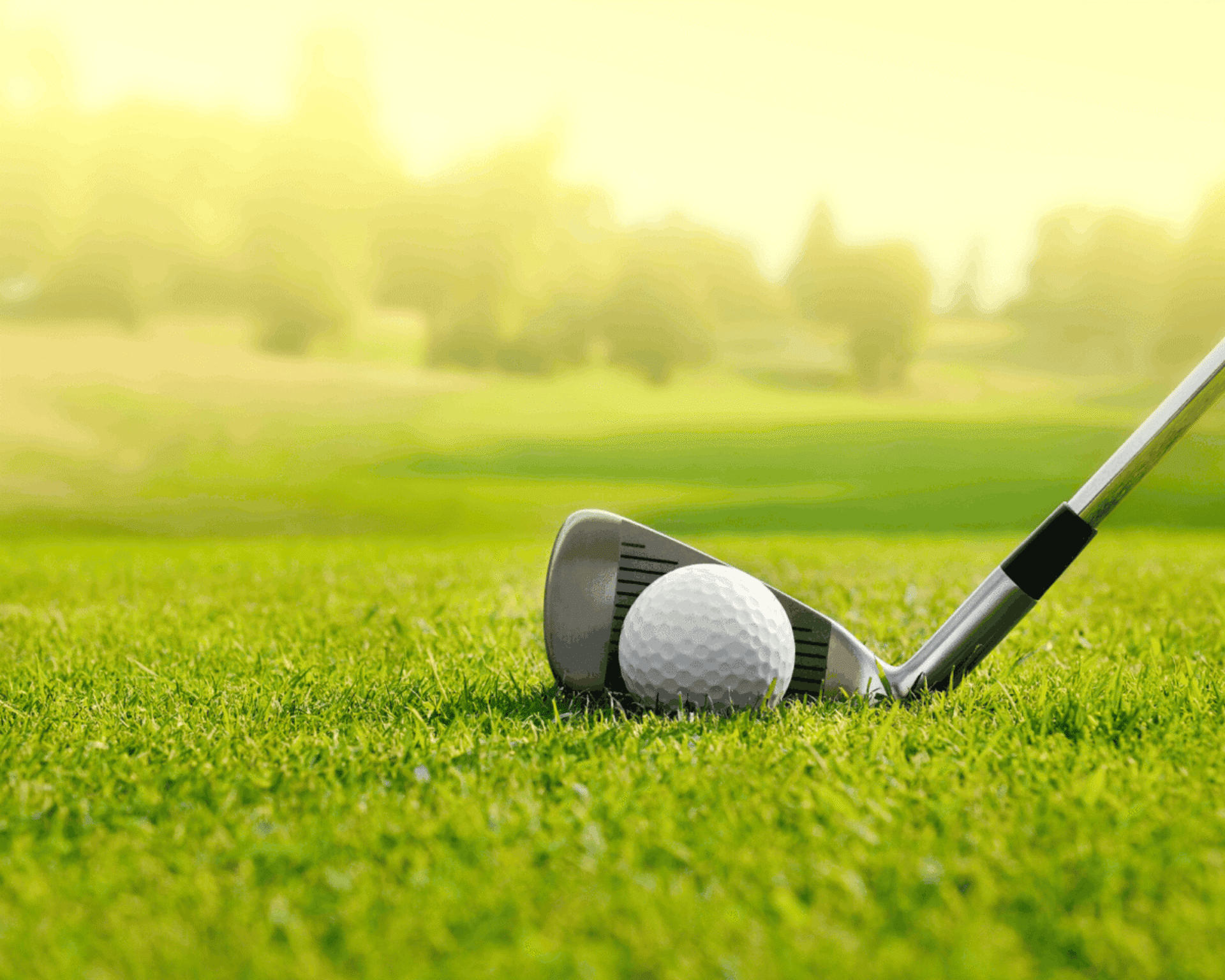 3 types federatiekaart  Golf Vlaanderen