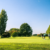 Manage golf beeld 2025 homepage