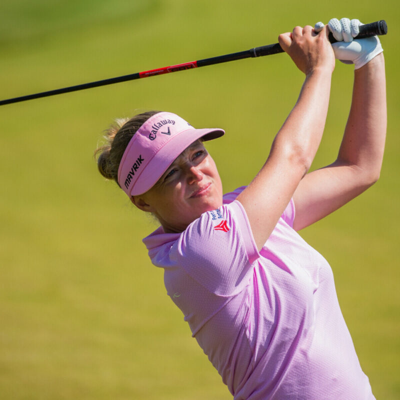 51236795274 636ee191ba k