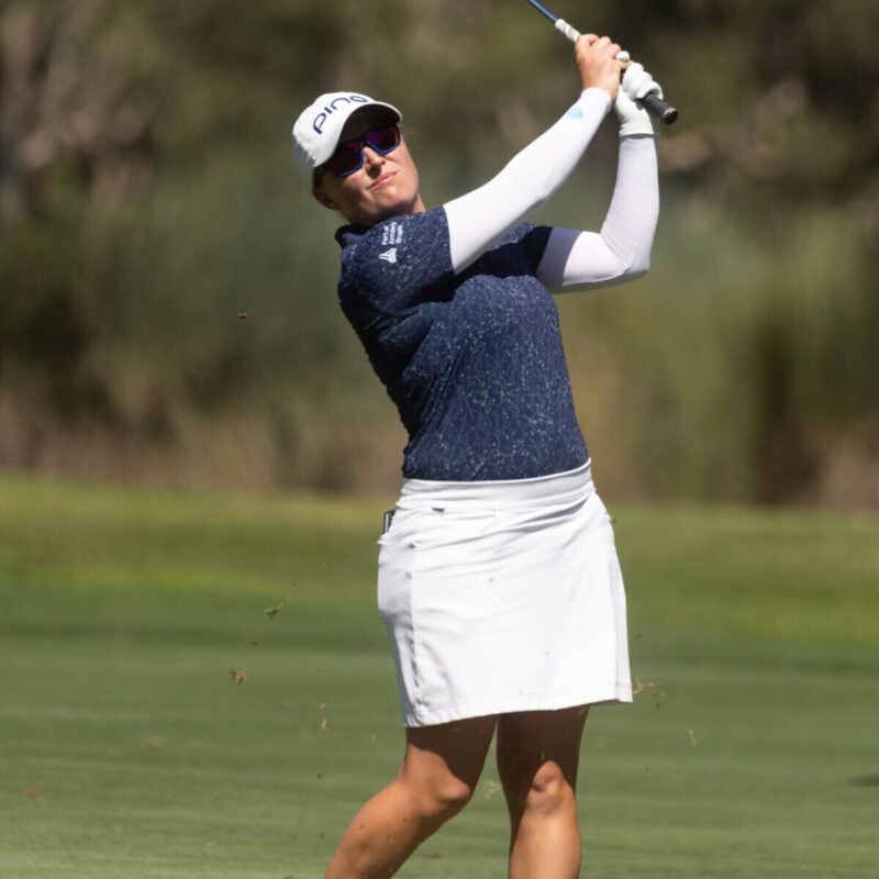 54389642431 06f1b0a11d o