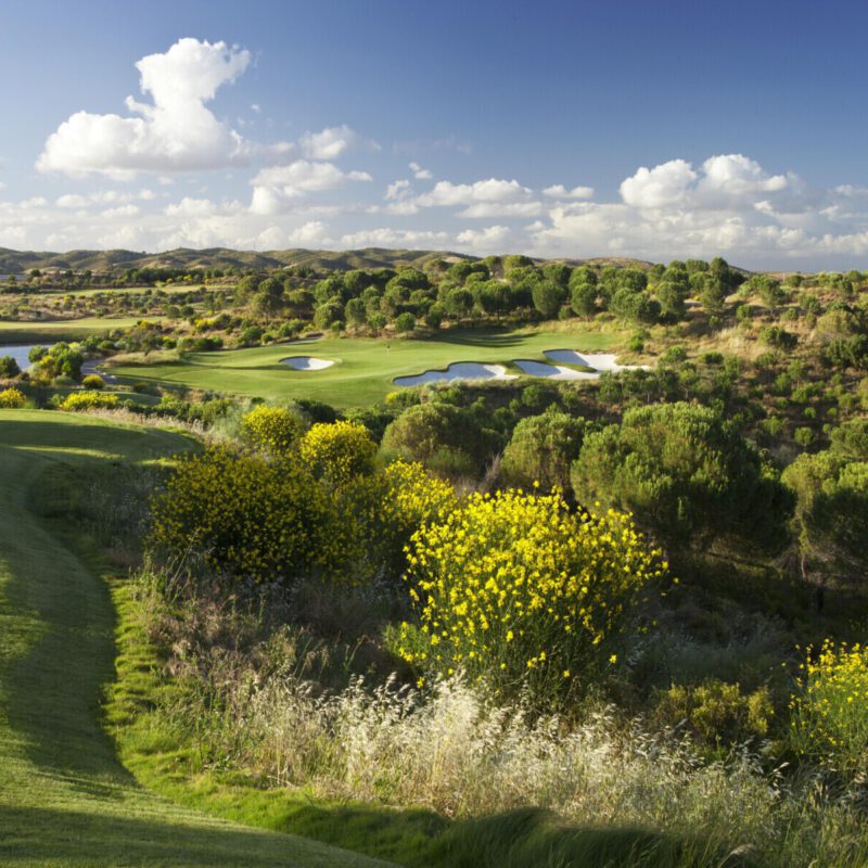 Monte Rei Golf Country Club golf aed6aa2e 1