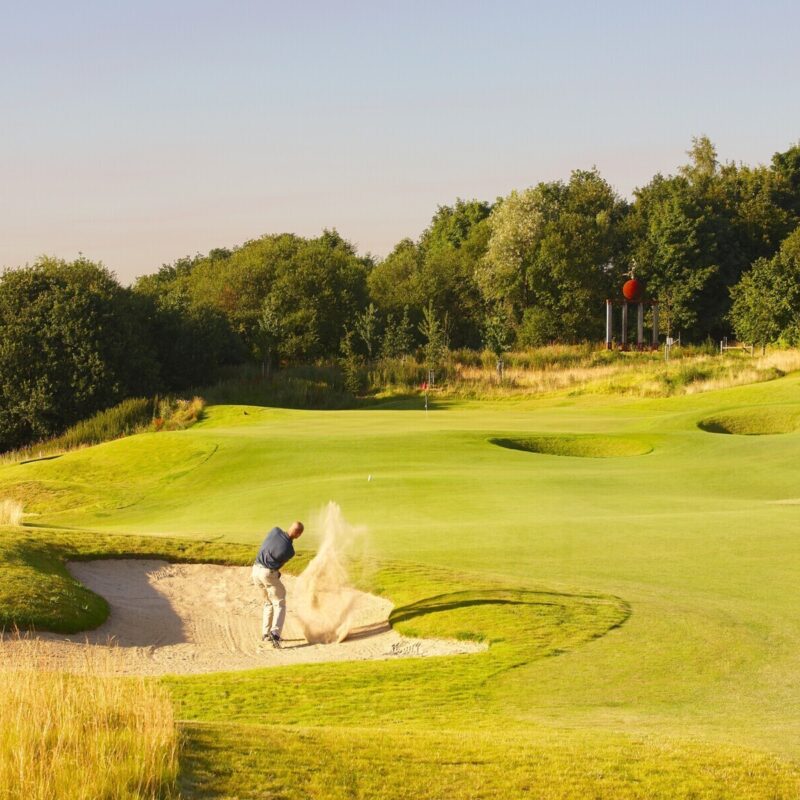 Ned igm golf5 W13 MCSCN20220801 2