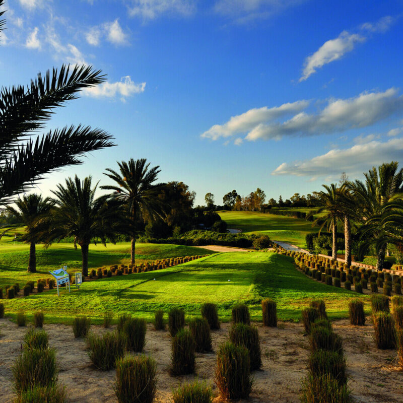 Tun citrusforet golf3 W18