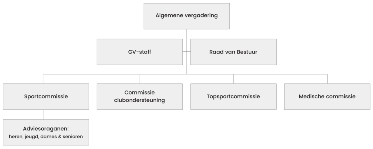 GV Structuur organisatie 2x