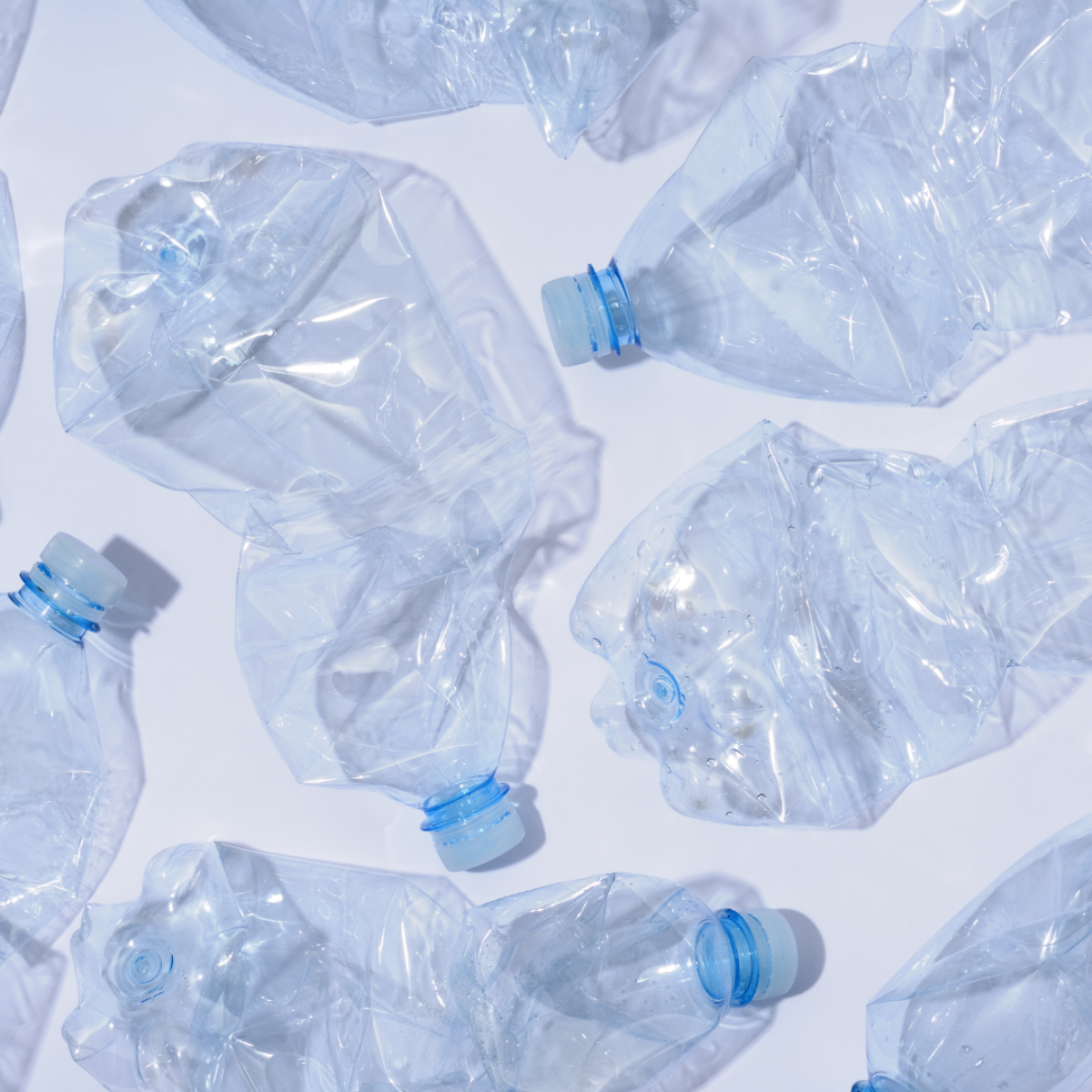 Instragram templates 16