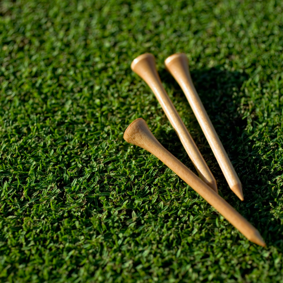 Instragram templates 17