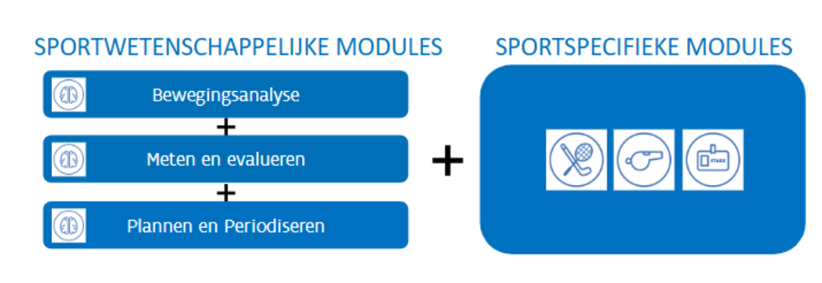 Trainer B Golf structuur