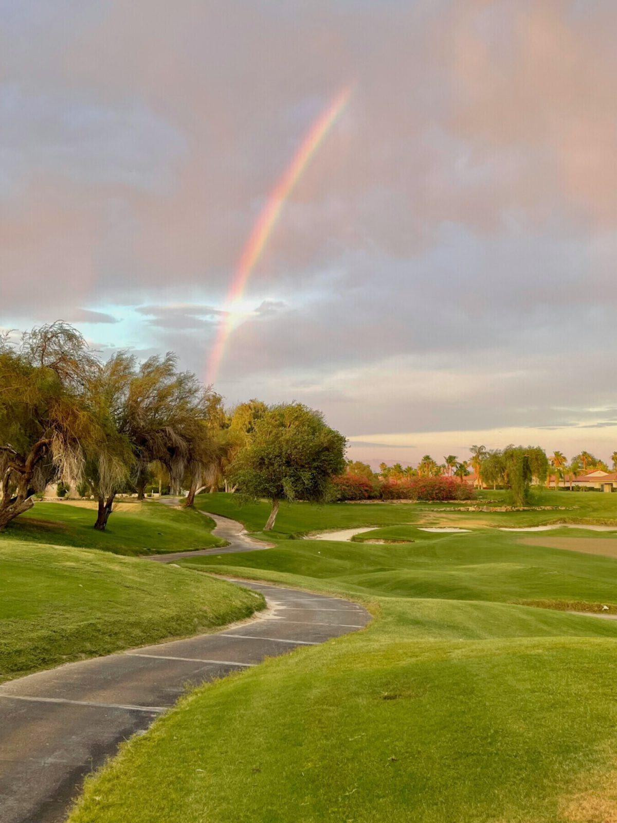 Bob osias wu0k Tn Lh YEI unsplash